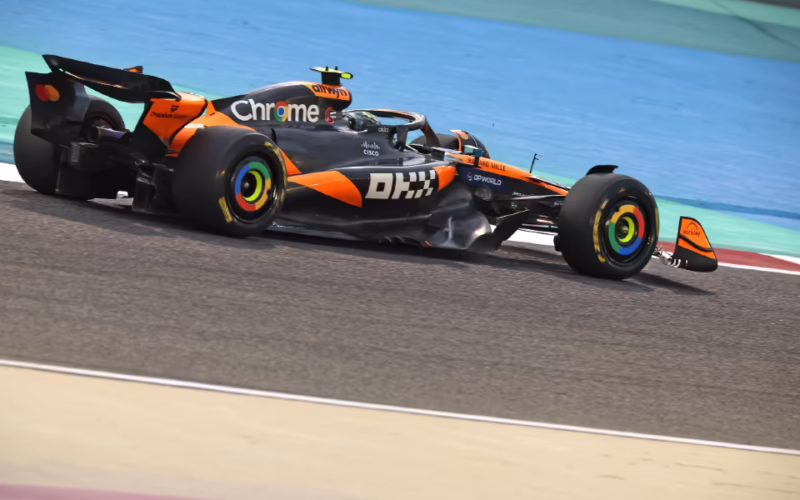 What did Marx say about the division of labour?