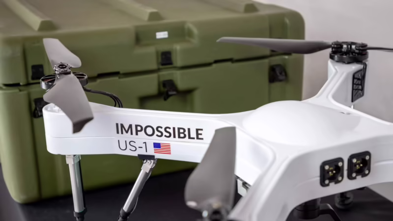 What are the risks of investing in ALPP?