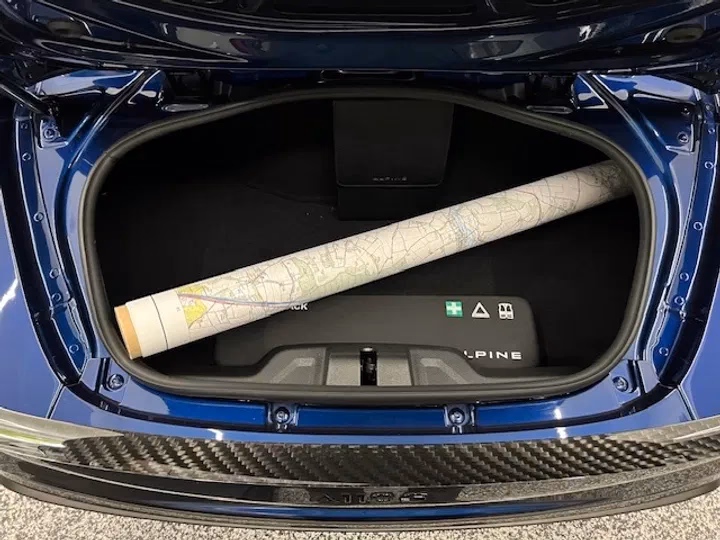 What are the common problems with the Alpine A110?