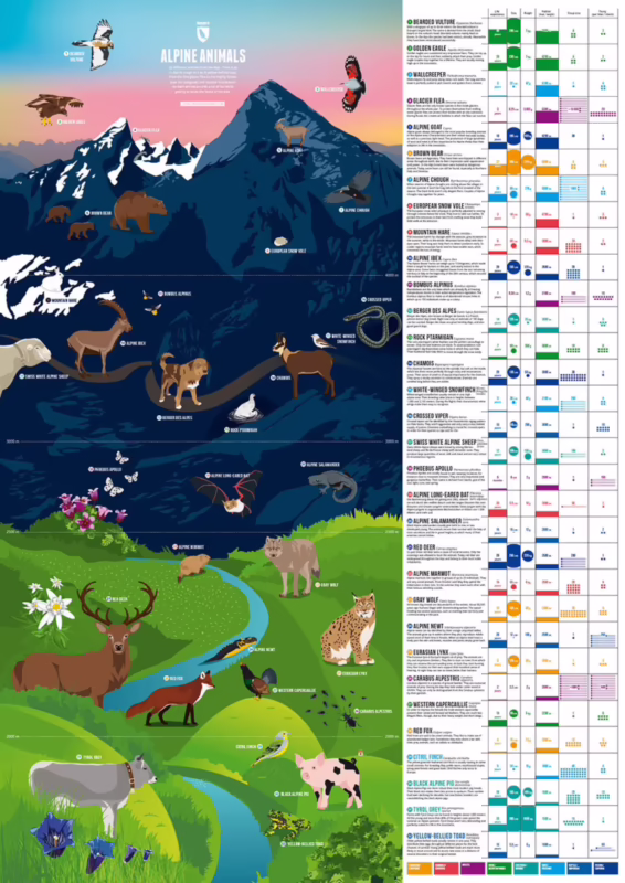 What animal lives in the alpine?