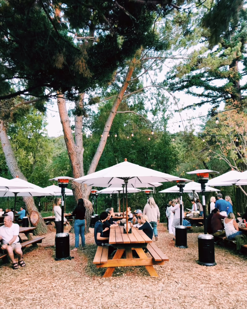 Who owns Alpine Inn?