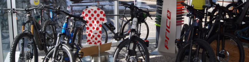 Where are Alpina bikes made?