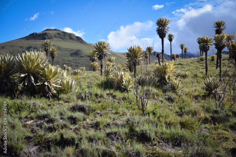 ¿Dónde está la fábrica de Alpina en Colombia?