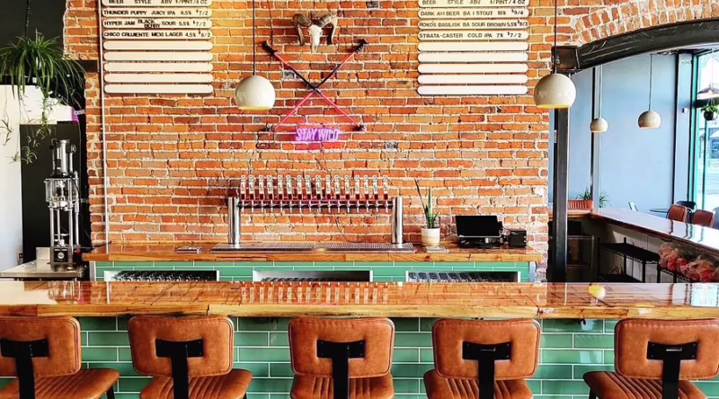 What's the etiquette for dogs at breweries?