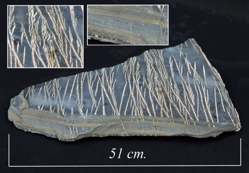 What causes flysch formation?