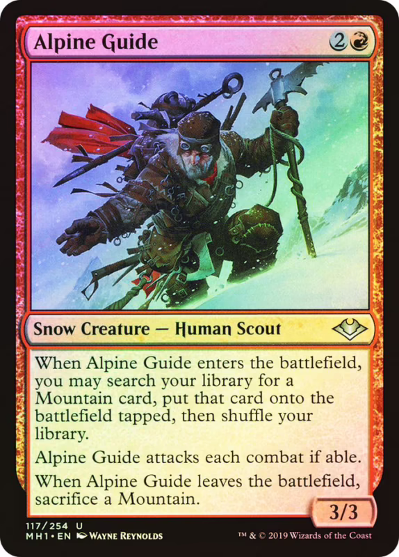 What is an alpine guide?