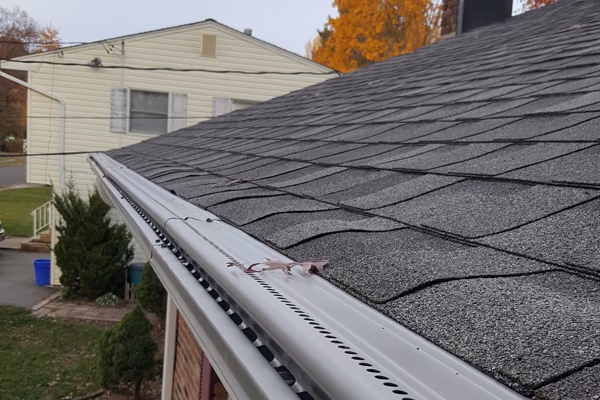 What do roofers say about gutter guards?