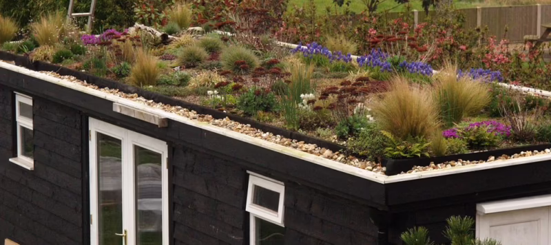 What color goes well with a green roof?