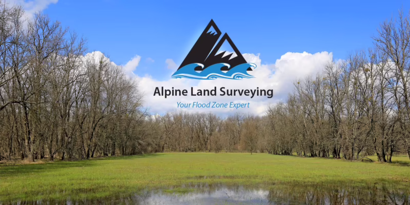 How much is the cost of a surveyor?