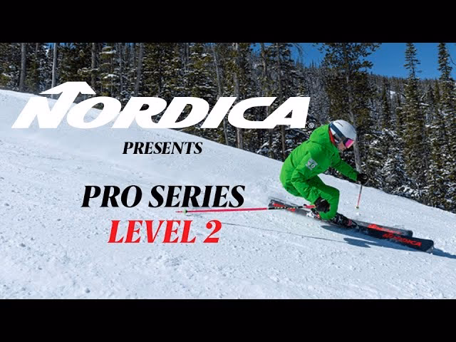 What is the highest level of ski instructor?