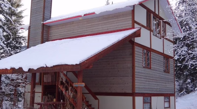 Where was the Alpine Meadows Avalanche?