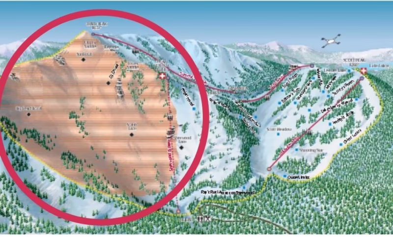 How many people died in the 1982 avalanche at Alpine Meadows?