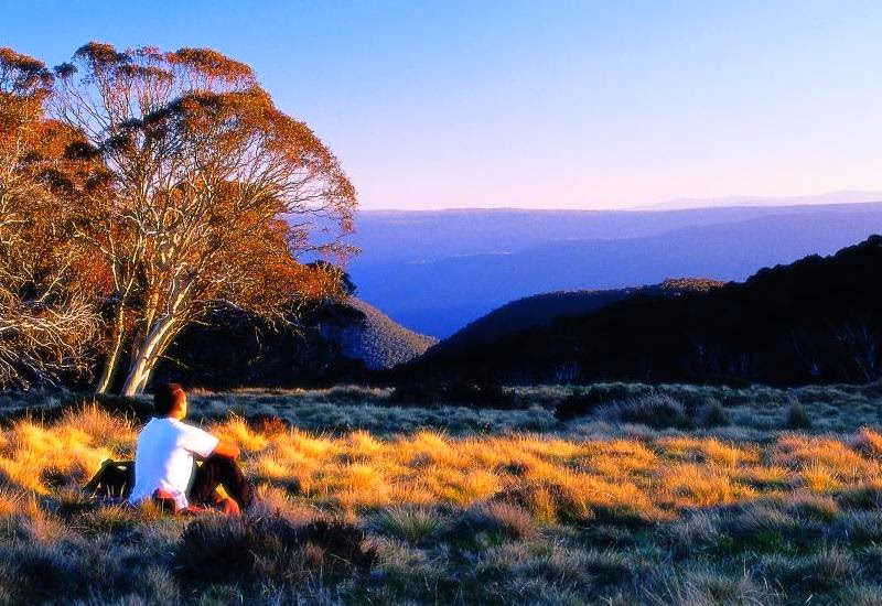 Where is the Victorian alpine region?