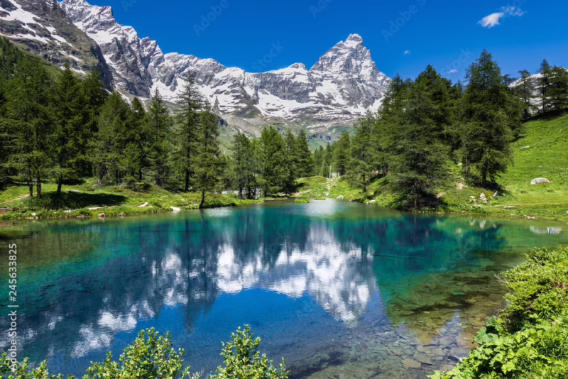 What is an alpine landscape?
