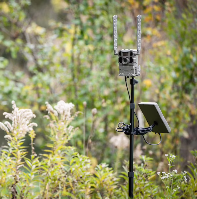 What state banned trail cameras?