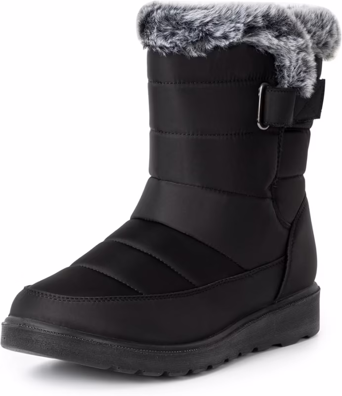 What are Alpina shoes known for?