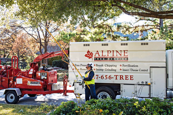 What is tree and shrub care?