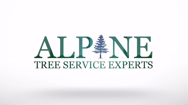 Is it worth hiring a professional tree trimmer?