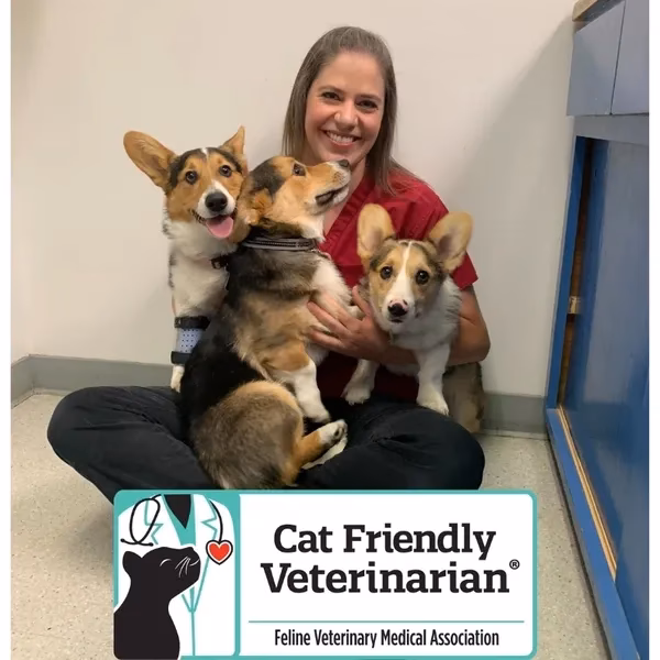 Who owns the most veterinary clinics in the US?