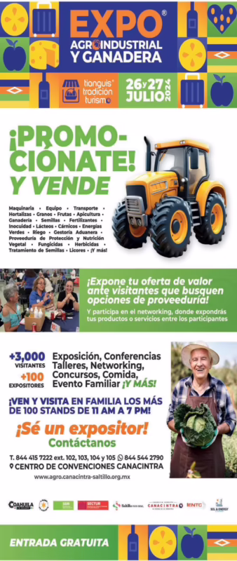 ¿Cuál es la mejor abeja para producir miel?