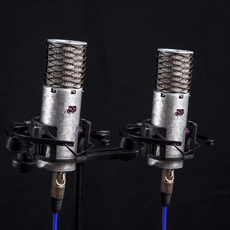 What is the holy grail of microphones?
