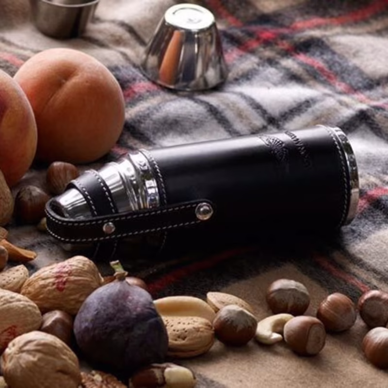 Who makes Aston Martin luggage?