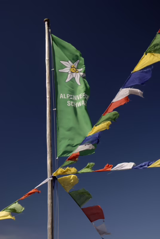 What does Alpenverein insurance cover?