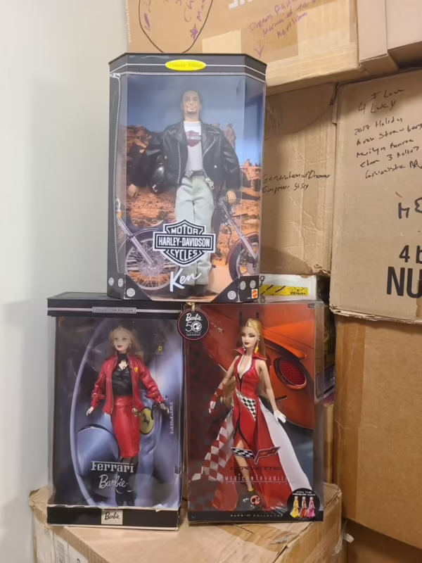 Who is Barbie Ferreira?