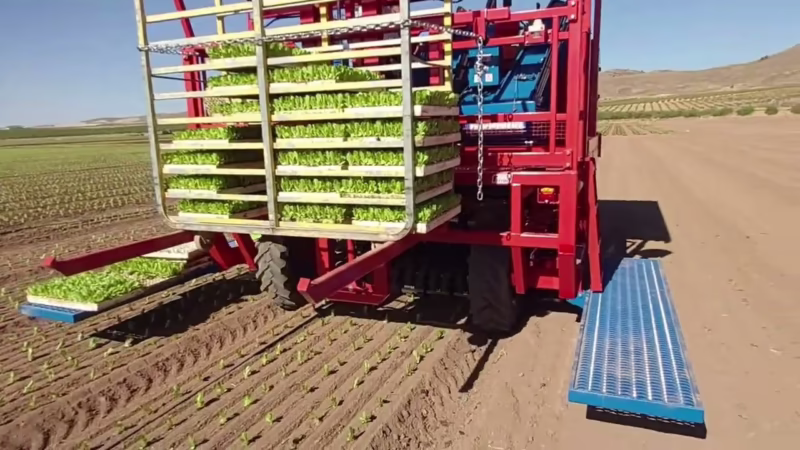 ¿Qué país tiene más Ferraris?