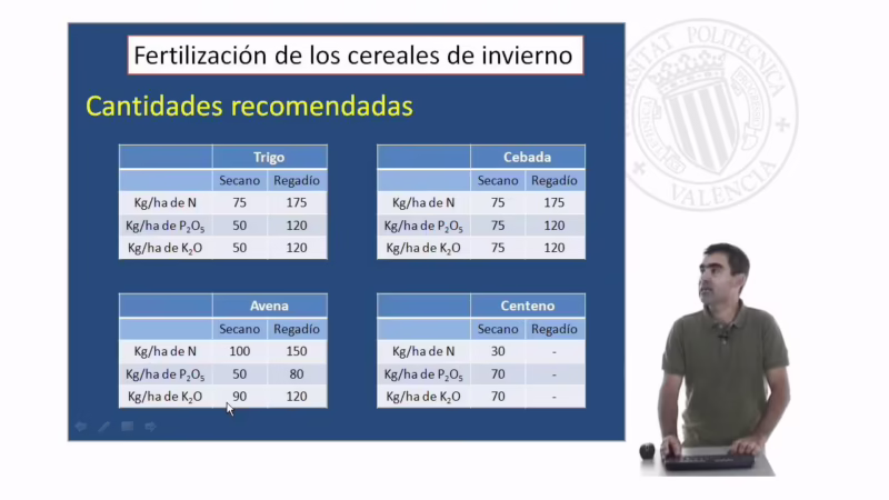 ¿Cuál es la fórmula de fertilización para el trigo?