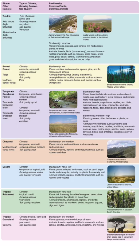 What are the similarities and differences between the tundra and the taiga?