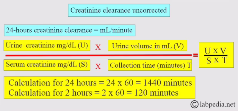 ¿Cuál es la fórmula para el aclaramiento renal de la creatinina?