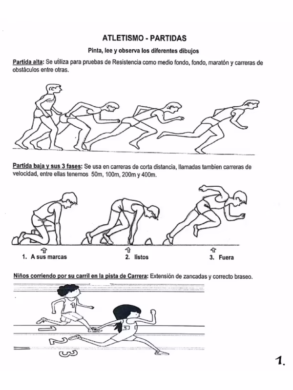 ¿Cuáles son las fases de la partida en una carrera de velocidad?