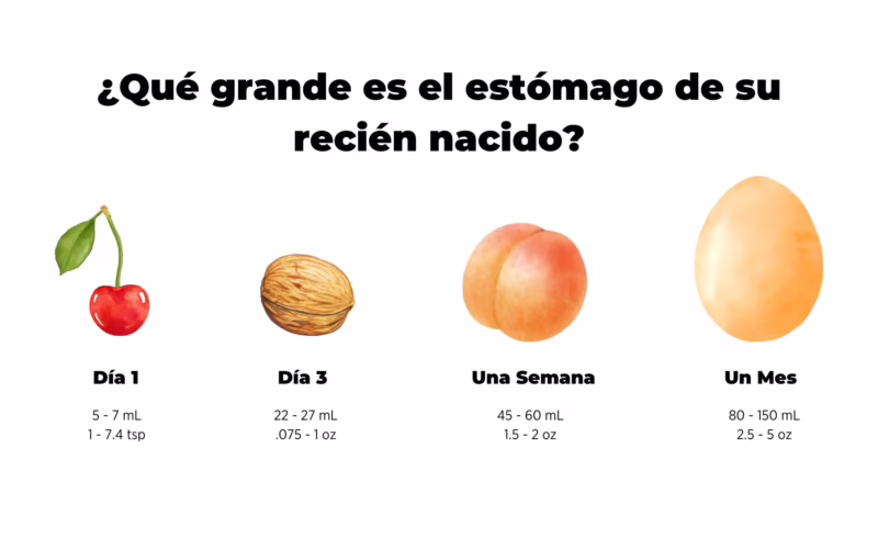 ¿Cuántos ml de leche de fórmula toma un bebé de 1 mes?