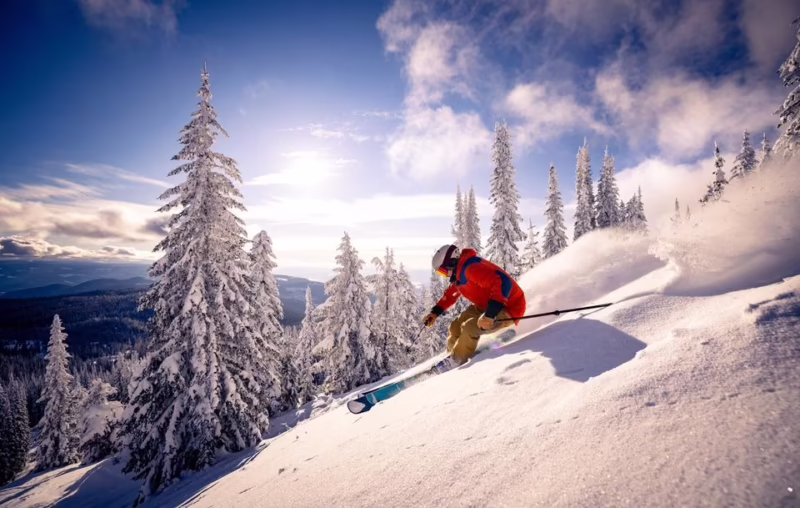 What is alpine downhill skiing?