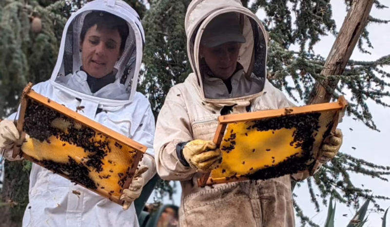 ¿Quién es el padre de la apicultura?