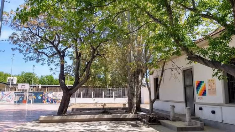 ¿Cómo saber qué escuela es mejor?