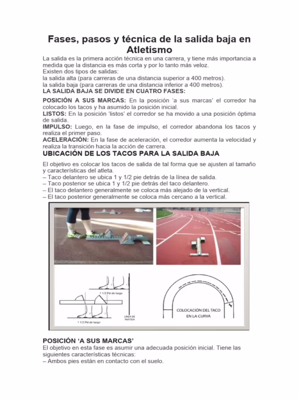 ¿Cuáles son las fases de la salida baja en atletismo?