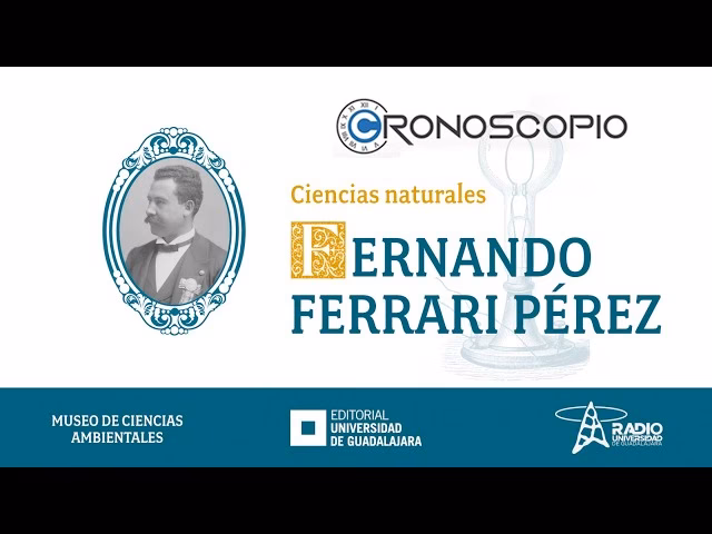 ¿Quién es Fernando Pérez?