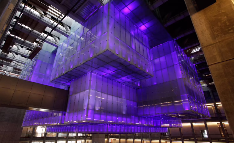 ¿Qué es la ballena del CCK?