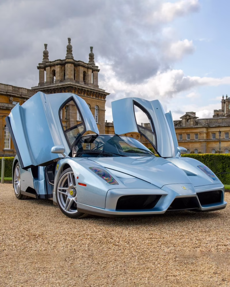 What colors are the 2003 Ferrari Enzo?