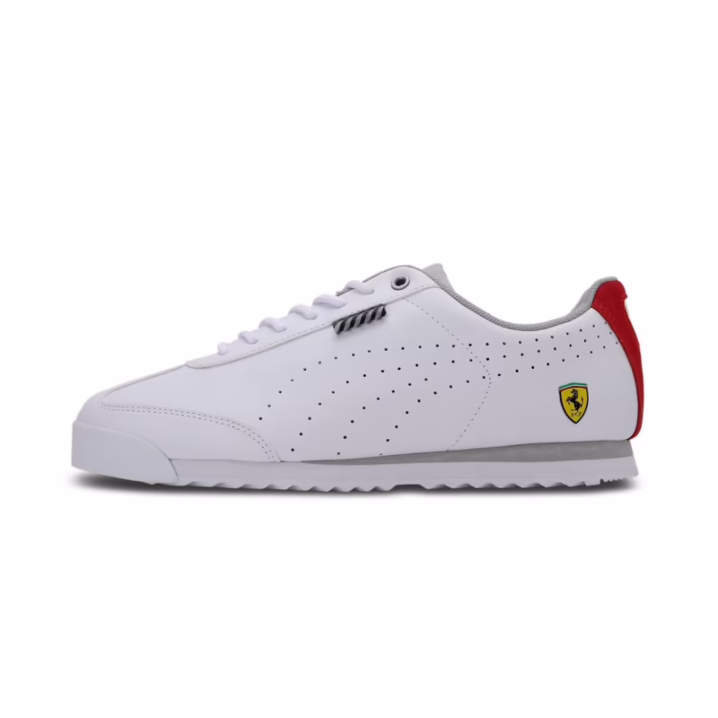 What is Roma in PUMA?