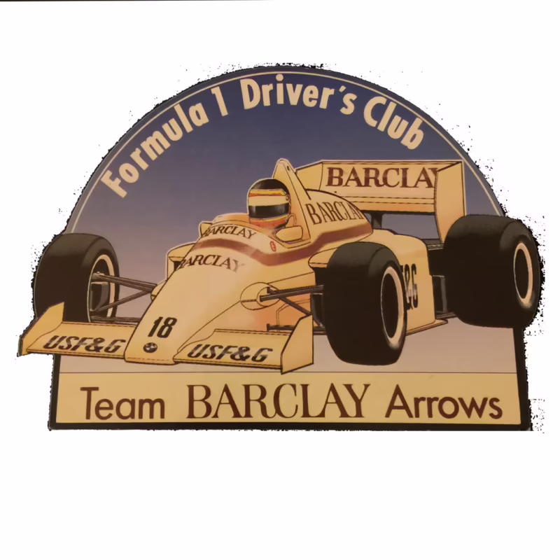 What is a marshal in F1?