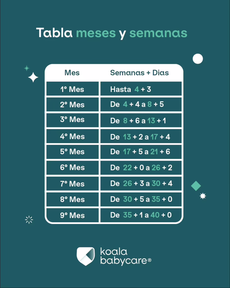 ¿Cómo puedo calcular los meses de gestación?