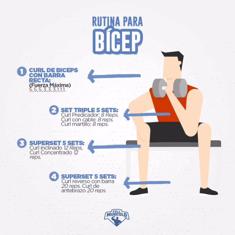¿Cómo hacer que los bíceps crezcan rápido?