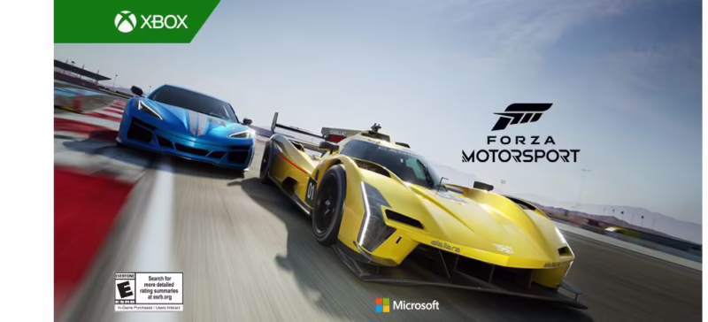 Is Forza Motorsport realistic in physics?