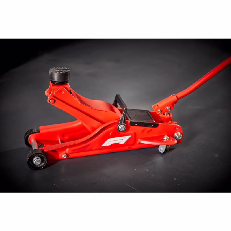 ¿Los coches de F1 tienen gatos incorporados?