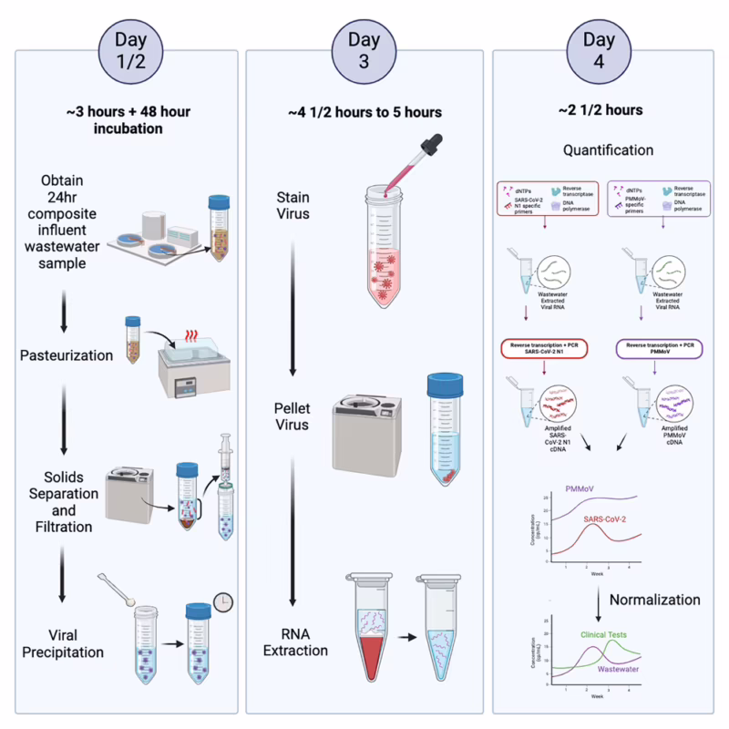 What agents dissolve viral envelope?
