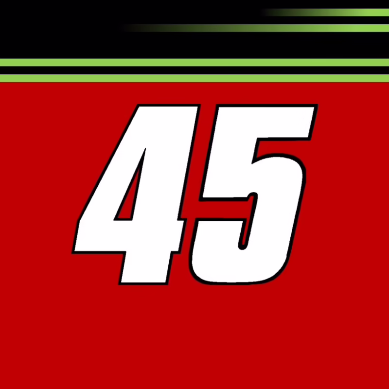 What are the IndyCar standings right now?