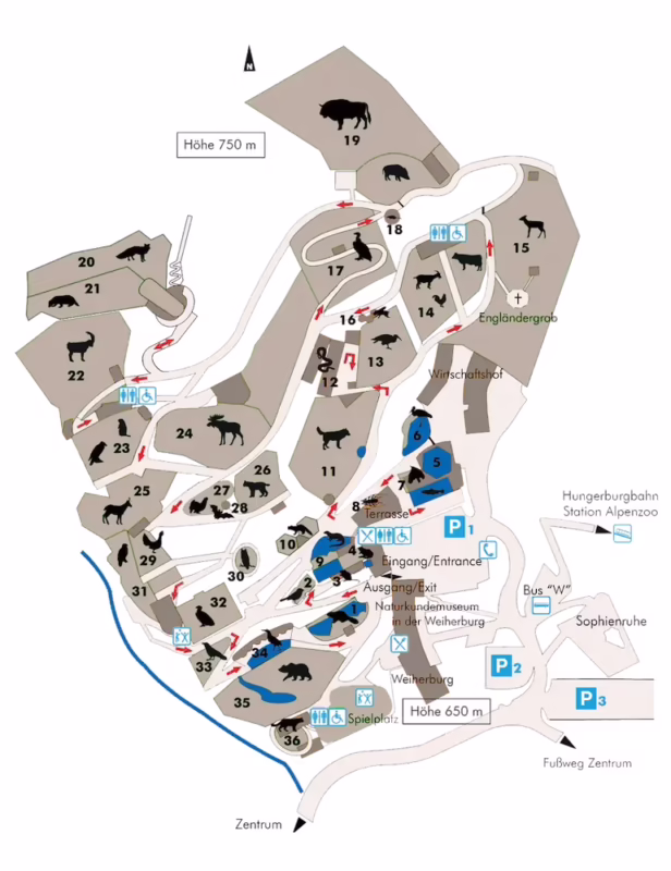 How long to spend at Alpenzoo Innsbruck?
